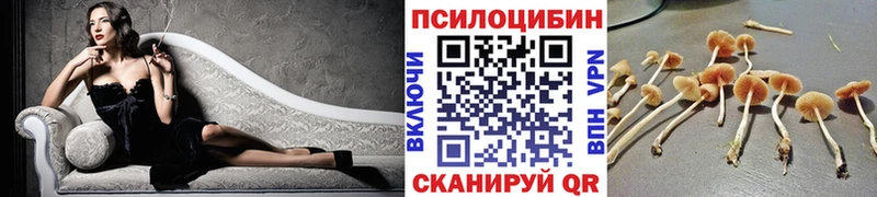 Галлюциногенные грибы GOLDEN TEACHER  Омутнинск 